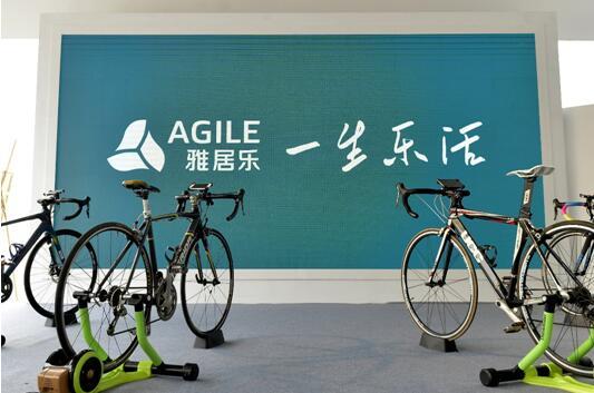 雅居樂 雅居樂