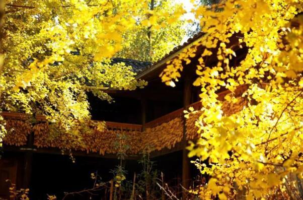 在最美的季節(jié)遇見你 雅居樂“上山下海”體驗(yàn)行