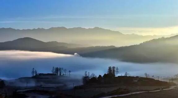 在最美的季節(jié)遇見你 雅居樂“上山下?！斌w驗(yàn)行
