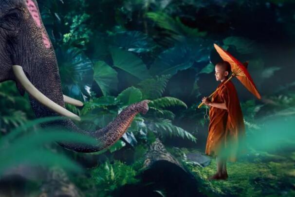 在最美的季節(jié)遇見你 雅居樂“上山下?！斌w驗(yàn)行