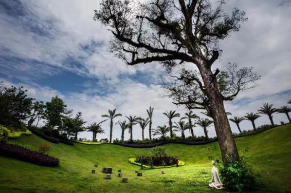 在最美的季節(jié)遇見你 雅居樂“上山下?！斌w驗(yàn)行