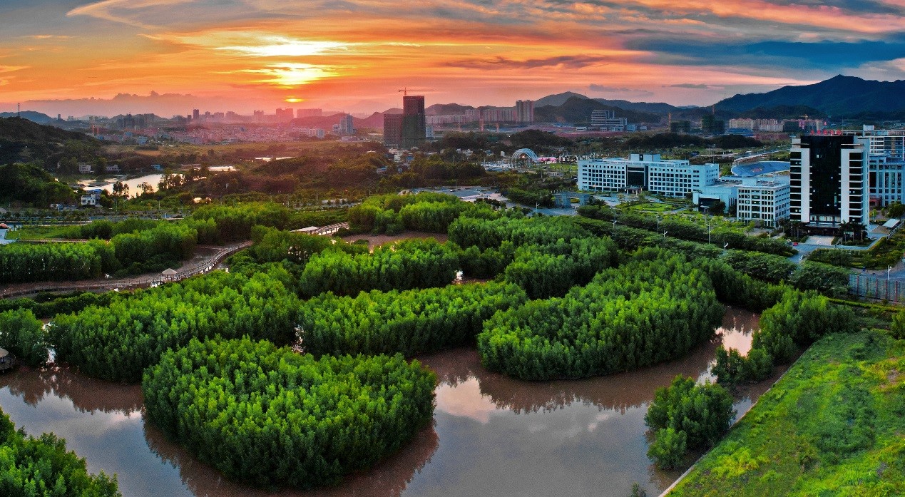 1629273936589372.jpg 5.jpg